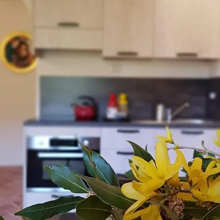 I Cedri Cortona