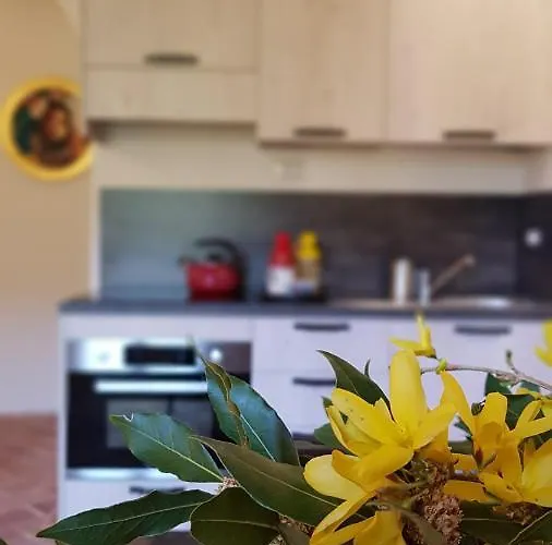 I Cedri Кортона