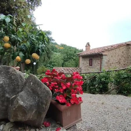 I Cedri Farm stay